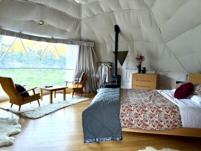 Geodesic Glamping Domes