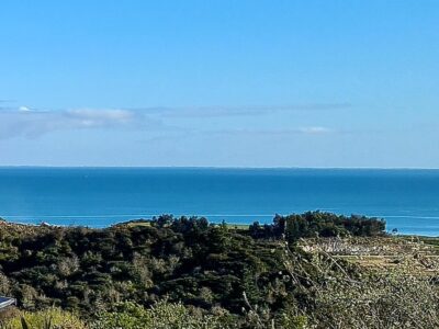 The Flax Pod Cabin, amazing sea views