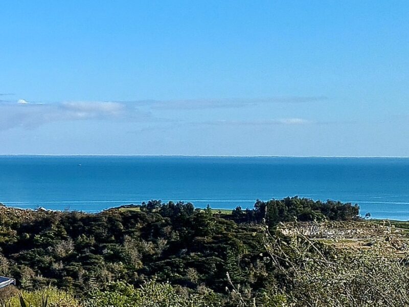 The Flax Pod Cabin with amazing sea views