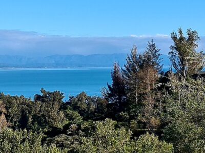 The Flax Pod Cabin, amazing sea views