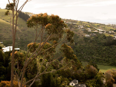 The Loft - views, hot tub + nature escape