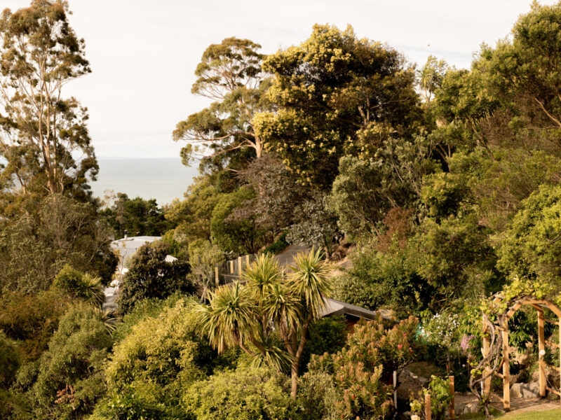 The Loft - views, hot tub + nature escape