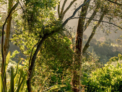 The Loft - views, hot tub + nature escape