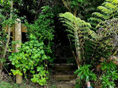 The Geodesic Dome at the Secret Spot in Pohara
