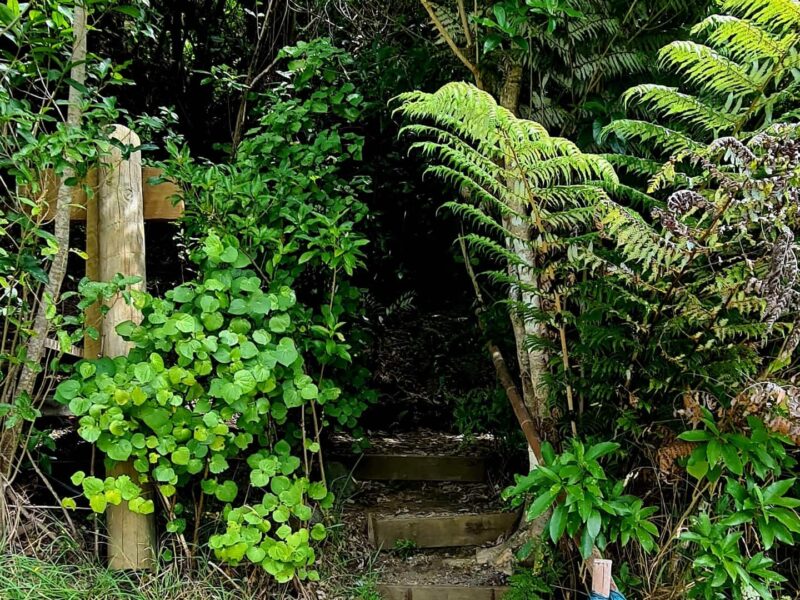 The Geodesic Dome at the Secret Spot in Pohara