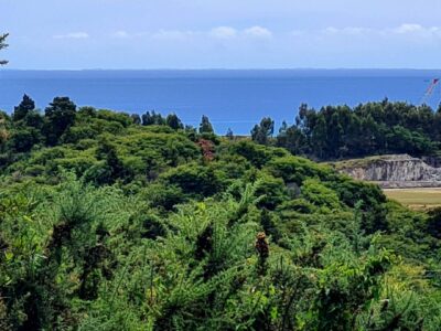 The Geodesic Dome at the Secret Spot in Pohara