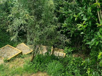 The Geodesic Dome at the Secret Spot in Pohara