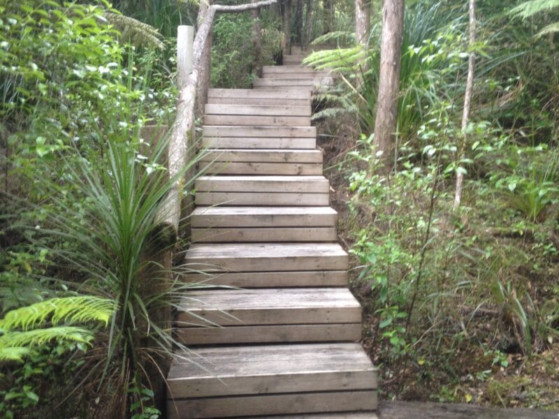 Nikau Cottage, Te Arai, Northland
