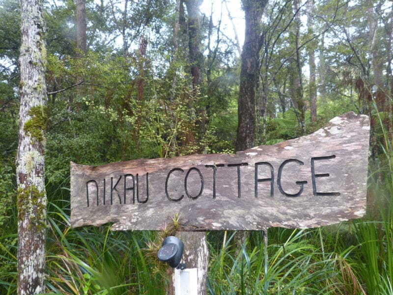 Nikau Cottage, Te Arai, Northland