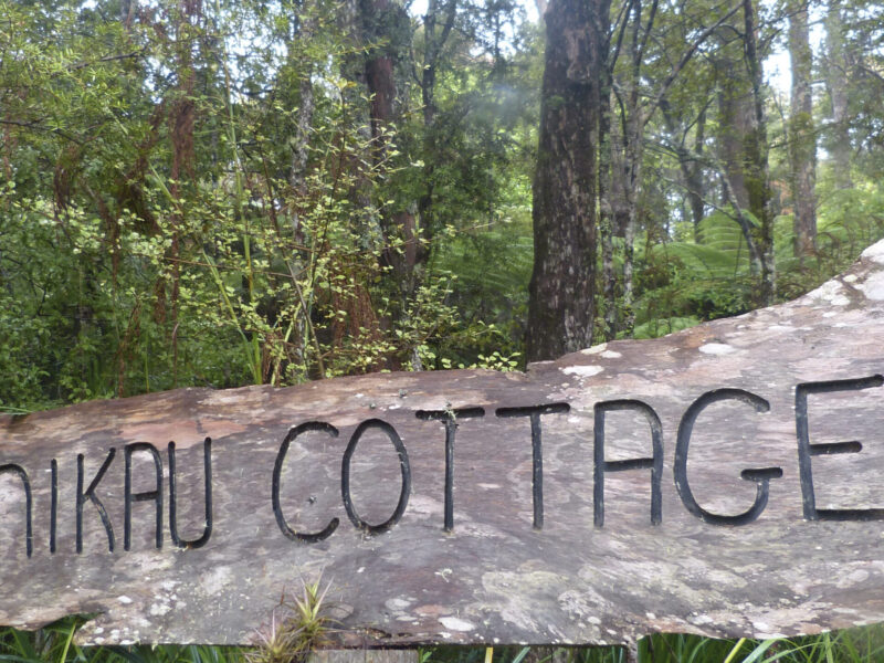 Nikau Cottage, Te Arai, Northland