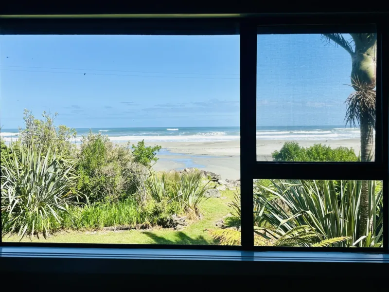 Bach 51 - Wilderness on the beach.