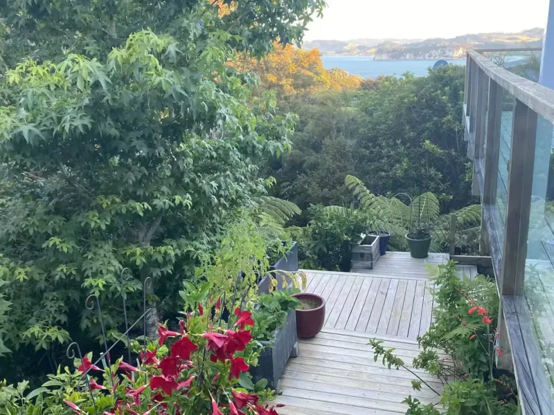 Bush To Beach Cottage