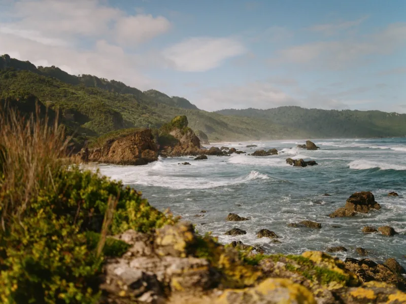 Woodpecker Bay Bach - life on the edge.