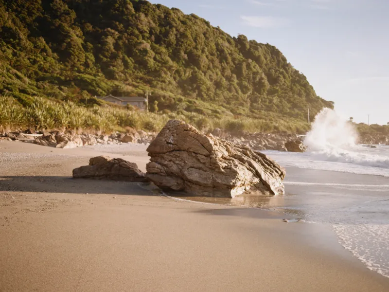 Waituhi at Whitehorse Bay ~ wrapped in nature