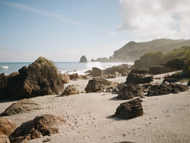 Waituhi at Whitehorse Bay ~ wrapped in nature
