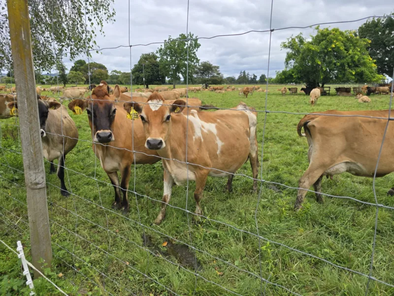 The Gantry – Luxury Rural Escape Close to Everything