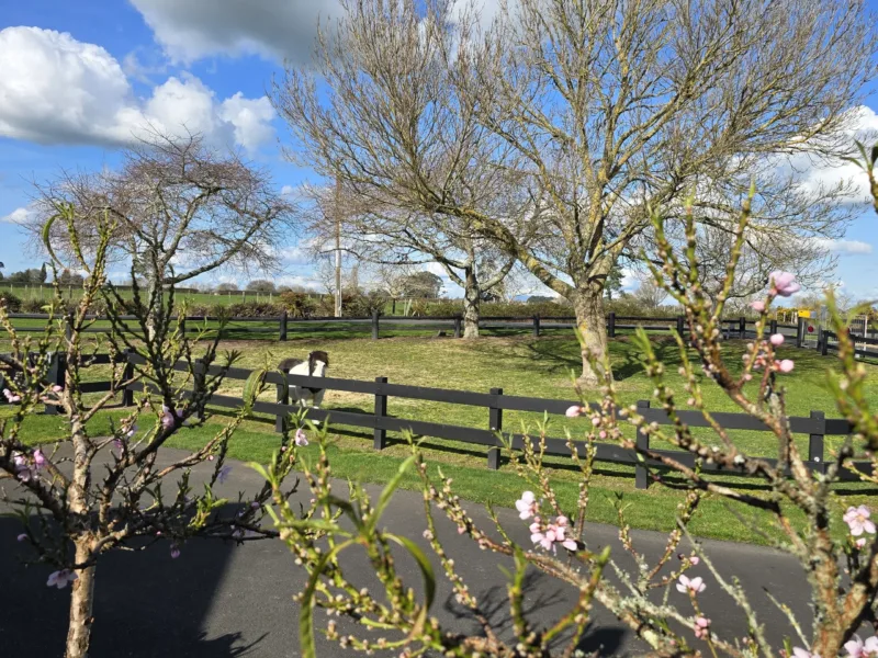 The Gantry – Luxury Rural Escape Close to Everything