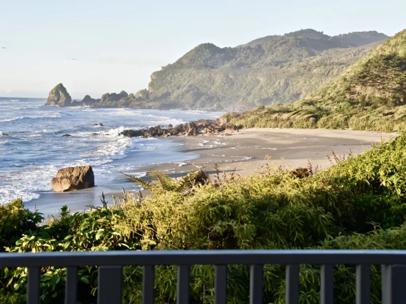 Waituhi at Whitehorse Bay ~ wrapped in nature