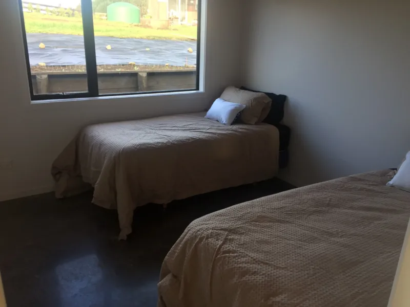 Pirongia Escape