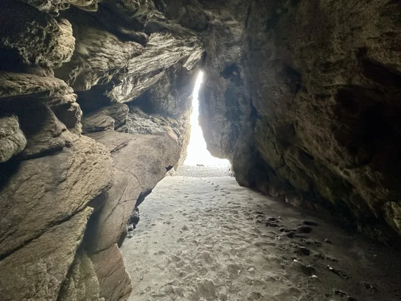 Bach 51 - Wilderness on the beach.
