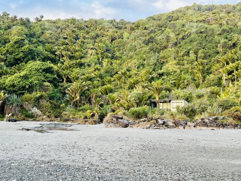 Bach 51 - Wilderness on the beach.