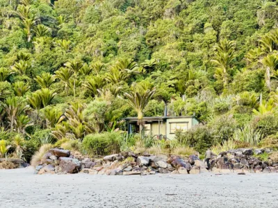 Bach 51 - Wilderness on the beach.