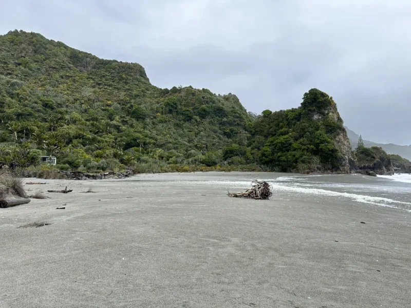 Bach 51 - Wilderness on the beach.