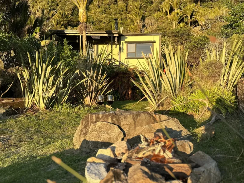 Bach 51 - Wilderness on the beach.