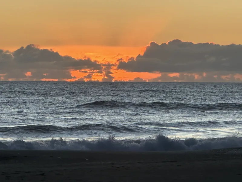 Bach 51 - Wilderness on the beach.