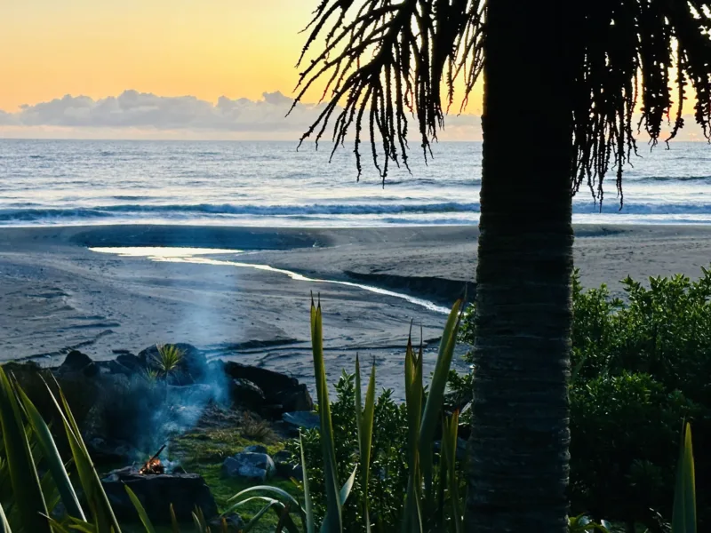 Bach 51 - Wilderness on the beach.