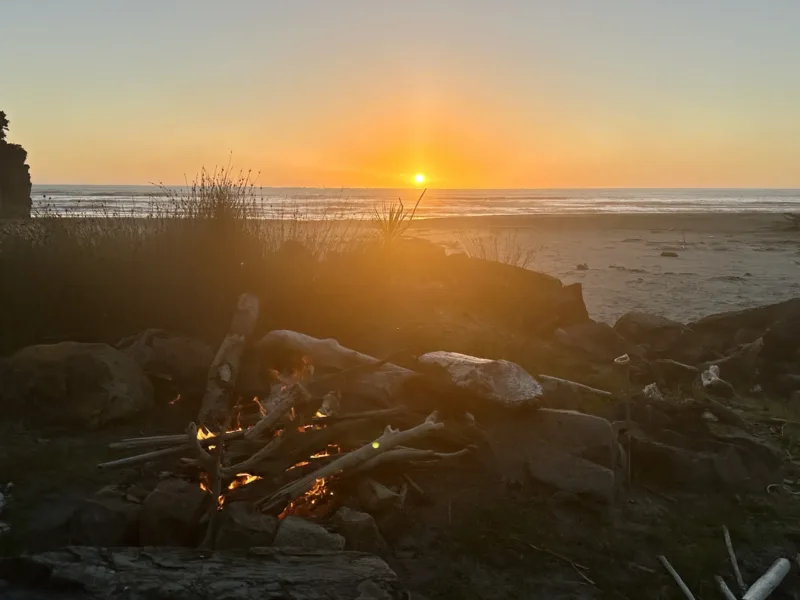 Bach 51 - Wilderness on the beach.