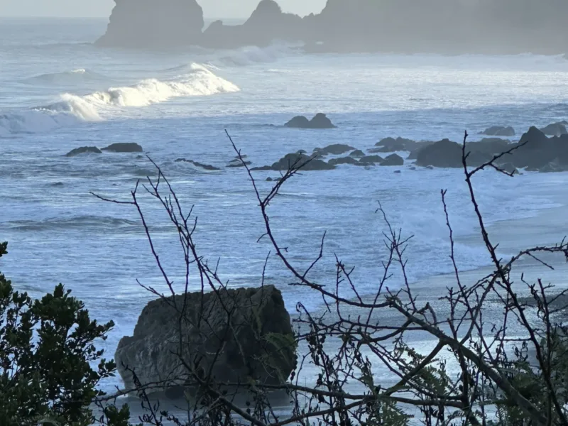 Waituhi at Whitehorse Bay ~ wrapped in nature