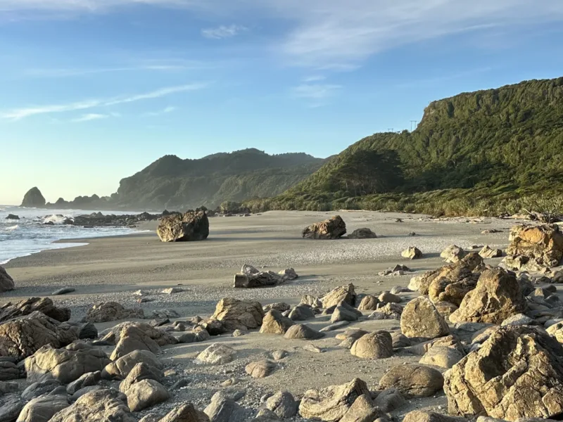 Waituhi at Whitehorse Bay ~ wrapped in nature