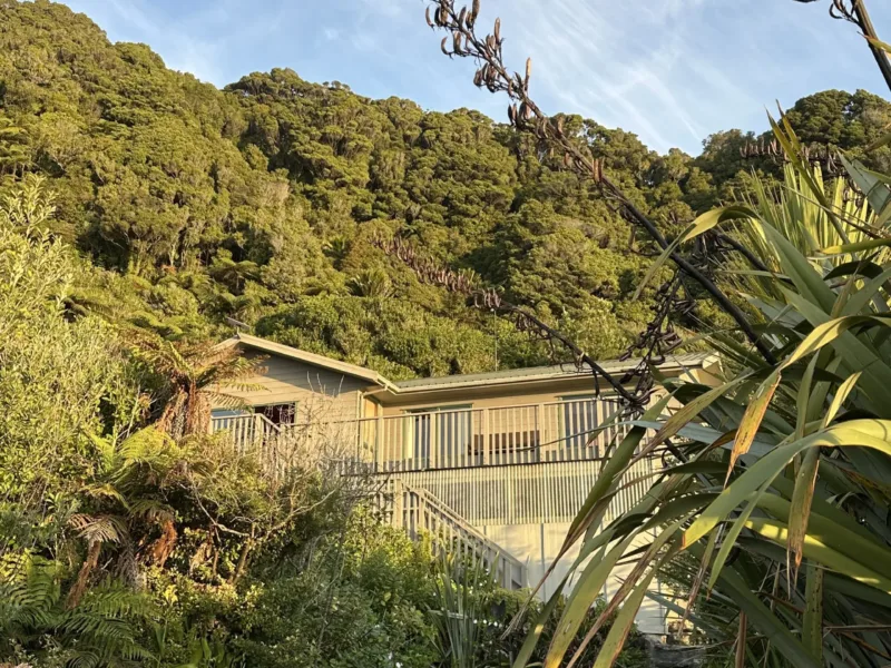 Waituhi at Whitehorse Bay ~ wrapped in nature