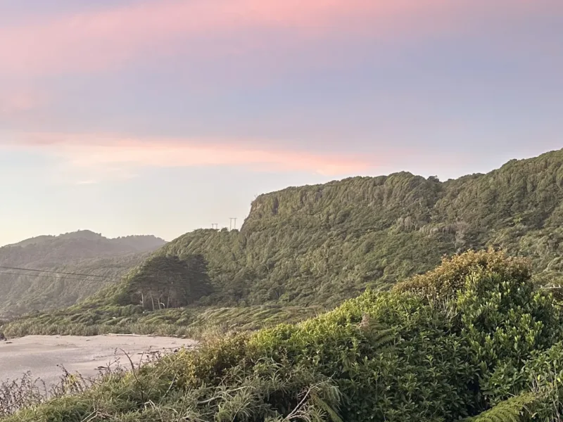 Waituhi at Whitehorse Bay ~ wrapped in nature
