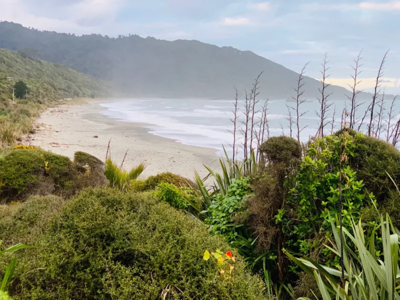 Te Tūtū Bach - relax & recharge.