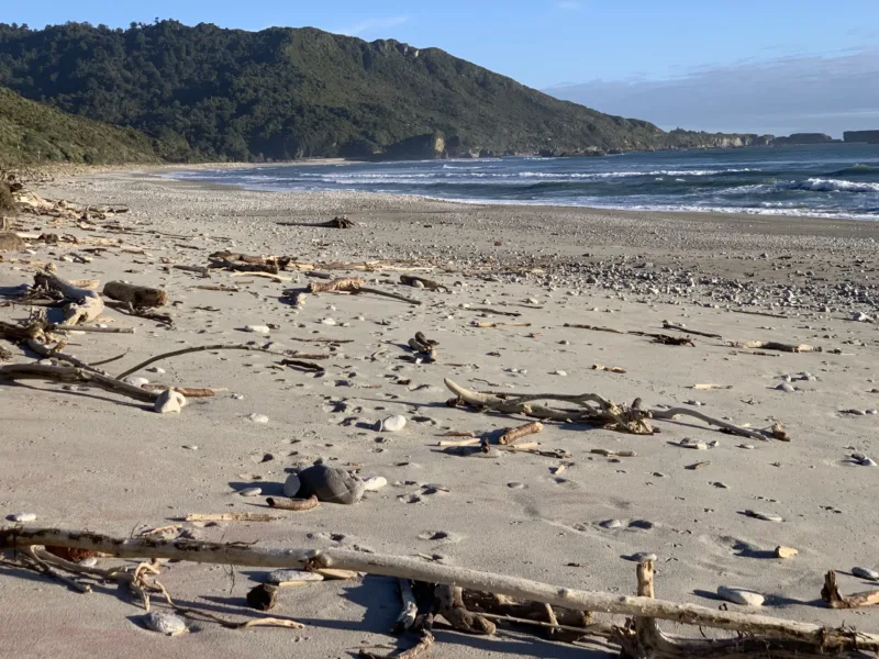 Te Tūtū Bach - relax & recharge.
