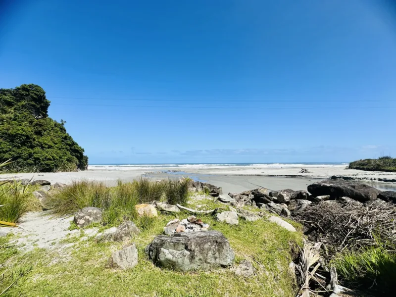 Bach 51 - Wilderness on the beach.