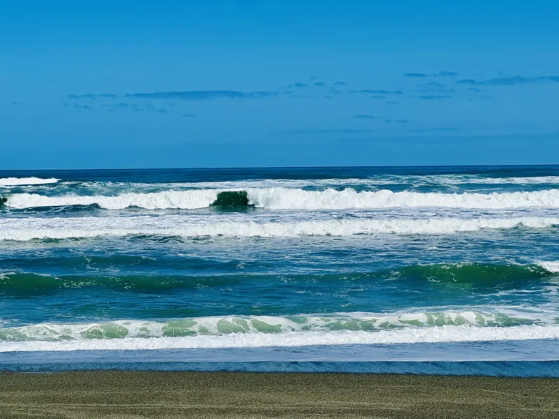 Bach 51 - Wilderness on the beach.