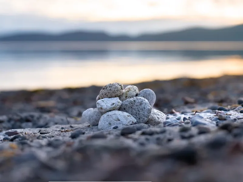 Muirs Reef Lodge: Luxury Lake Taupo Accommodation