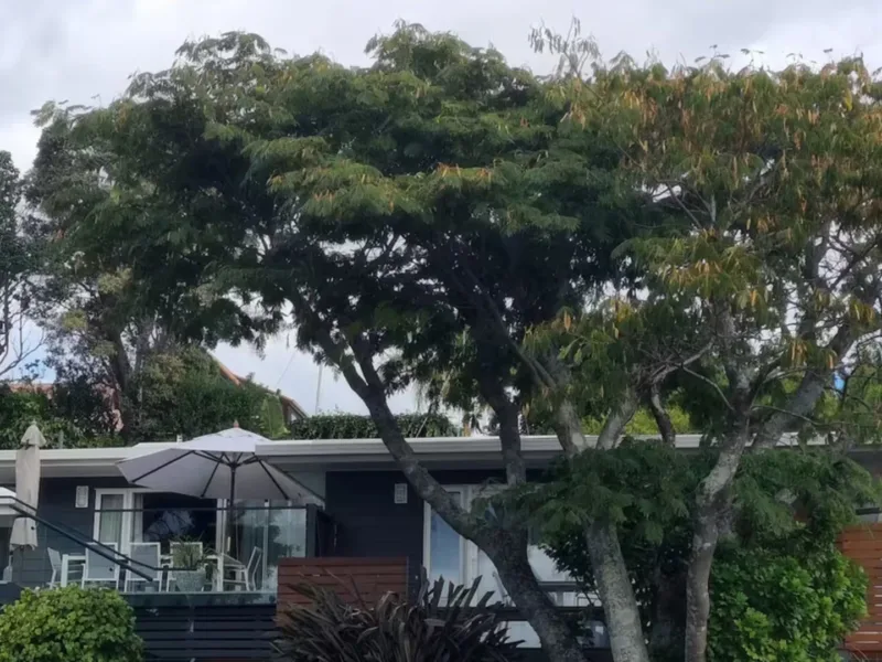 Modern 3BR Coastal Oasis – 15 Mins to Waihi Beach