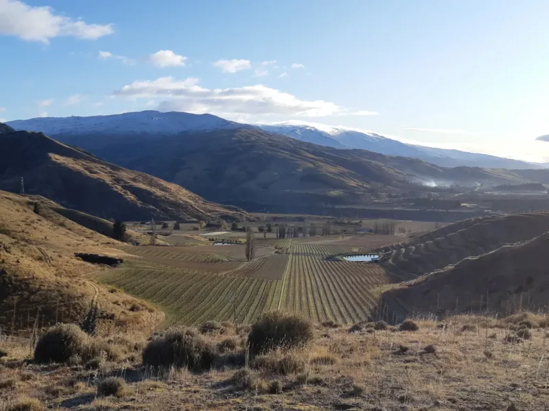 Kawarau Cottage - Vineyard and River Views