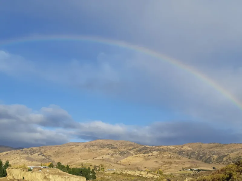 Kawarau Cottage - Vineyard and River Views