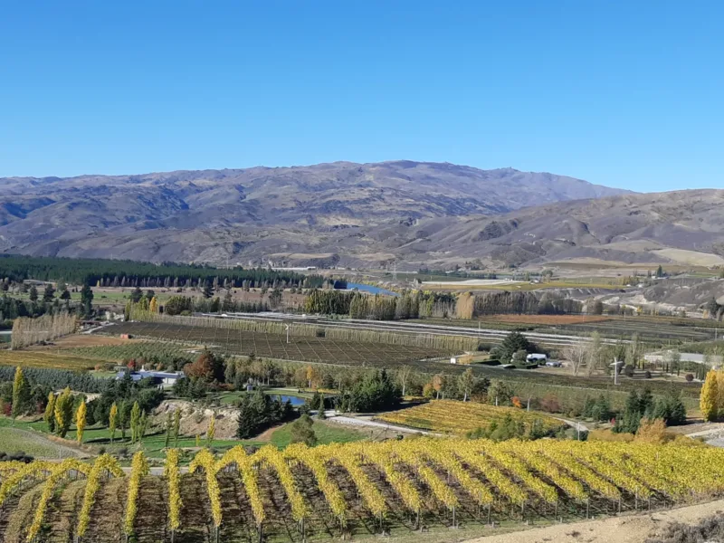 Kawarau Cottage - Vineyard and River Views