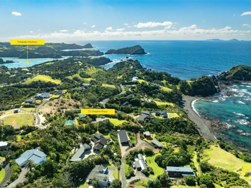 Dolphin Cove - Tutukaka Coastal Unit