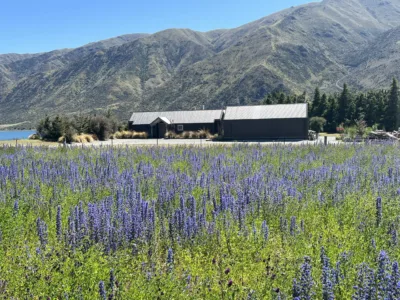 Lake Waitaki Waters at Lemon Springs: Private Haven of Peace and Calm