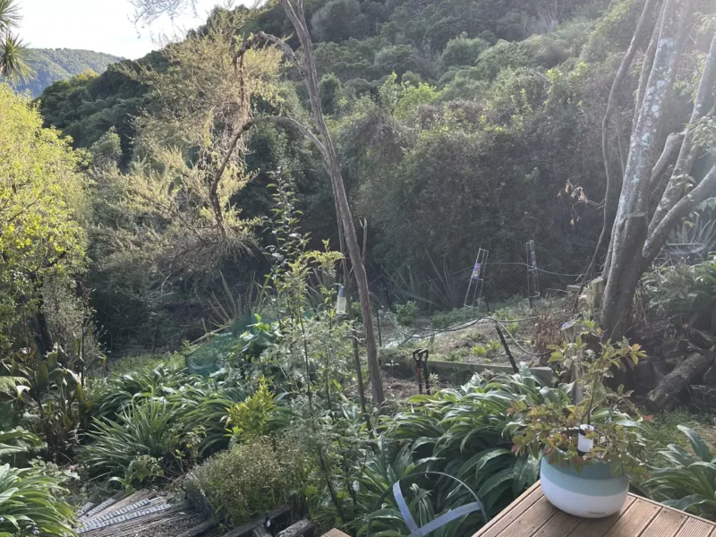 Native bush & Marina Views retreat