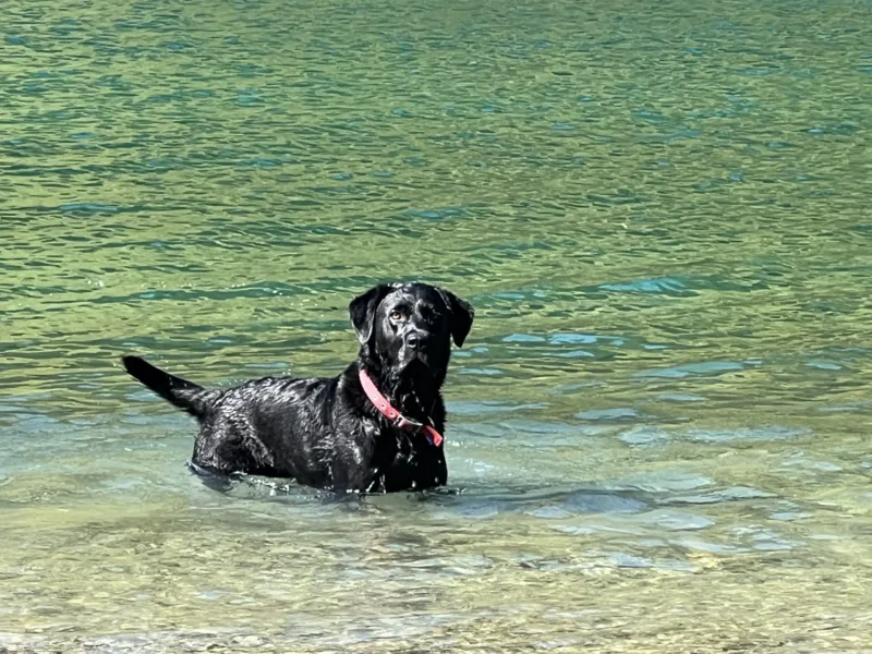 Lake Waitaki Waters at Lemon Springs: Private Haven of Peace and Calm