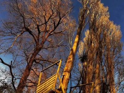 The Nest | Bed & Breakfast & Wellness Sanctuary