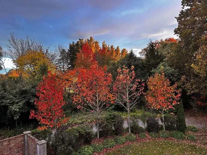 The Nest | Bed & Breakfast & Wellness Sanctuary